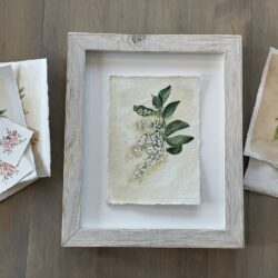 White Floral - Privet Study I - 5x7 -unframed