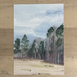 Pines - unframed