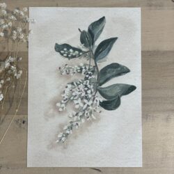 Privet Study Print - unframed