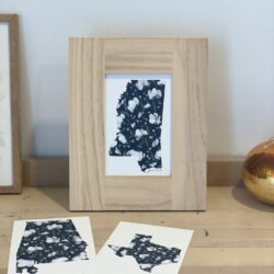 State Floral Prints (navy and white) - unframed